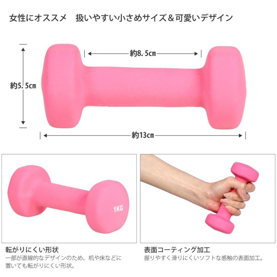 ダンベル 鉄アレー 鉄アレイ 1kgx2個組み EGS(イージーエス ダンベル 鉄アレー 鉄アレイ 1kgx2個組み EGS(イージーエス