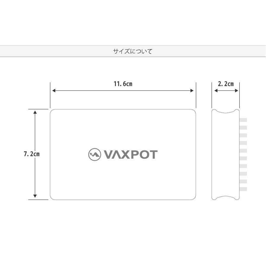 VAXPOT（バックスポット） ブロンズブラシ スキー スノーボード