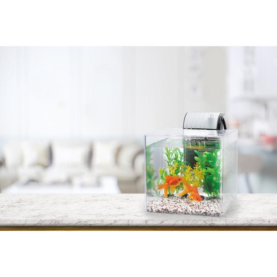 テトラ Tetra テトラ 静かな金魚飼育セット Sf 17gf Ehstyle 通販 Yahoo ショッピング