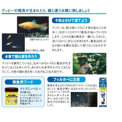 テトラ Tetra ハーフムーンアクアリウムミニ Hm 10gf Olhodaguadocasado Al Gov Br