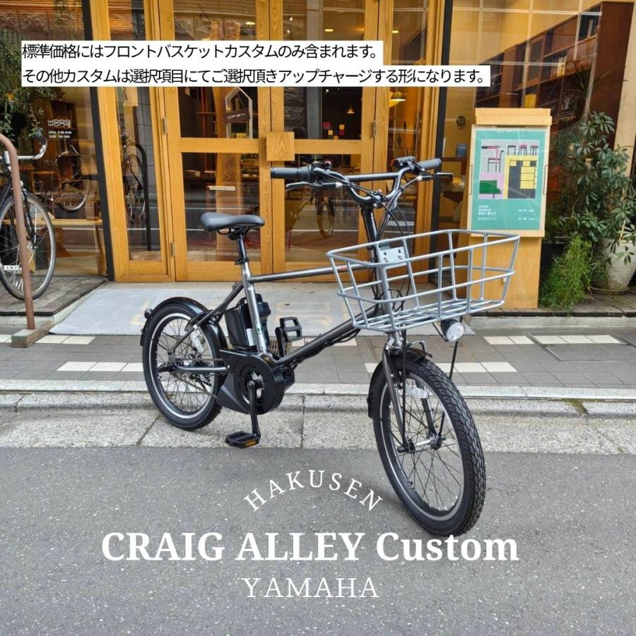 ヤマハ発動機 PAS CRAIG ALLEY(パスクレイグアリー)【シルバーのアルミ