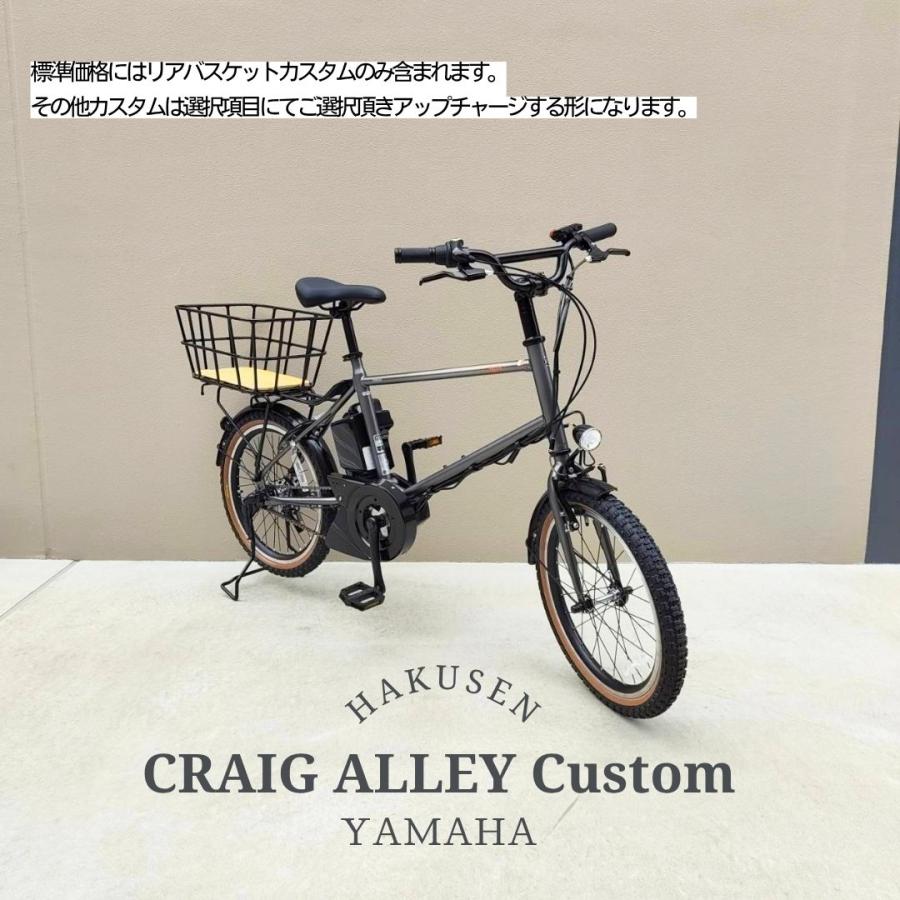 ヤマハ発動機 【樹脂製底板リアバスケット搭載】フルカスタム対応 PAS