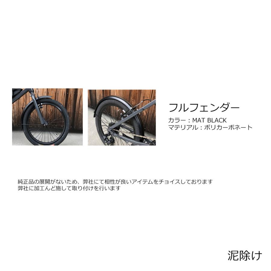 tern 限定特価(akibo) フルカスタムチョイス AMP F1(アンプ F1) TERN