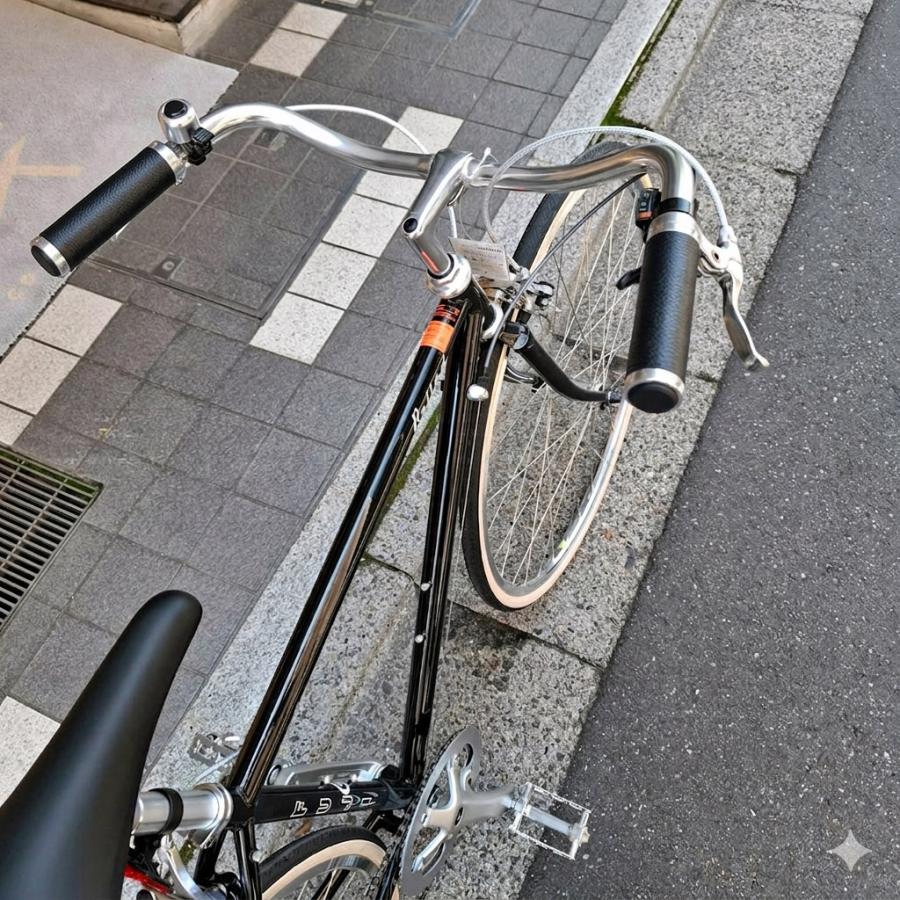 フジ（Fuji） 限定特価 プロムナードハンドル厳選カスタム BALLAD