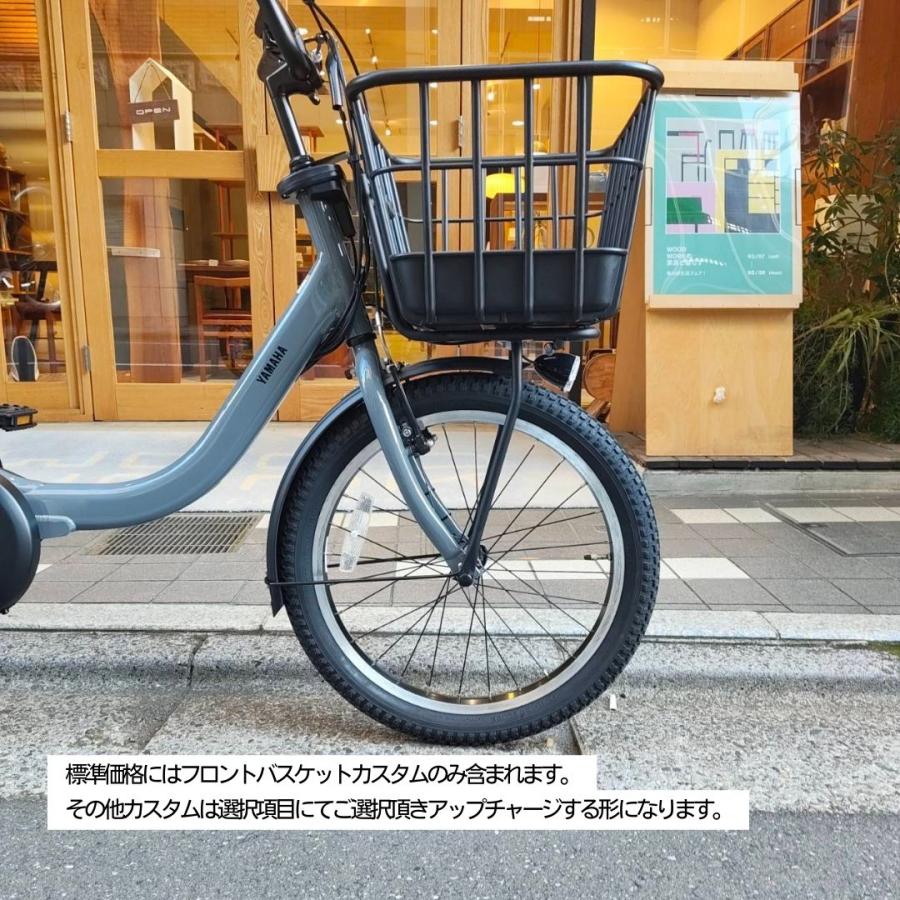 PAS Babby un CARIGO(パス キャリゴー)【樹脂製フロントバスケット搭載