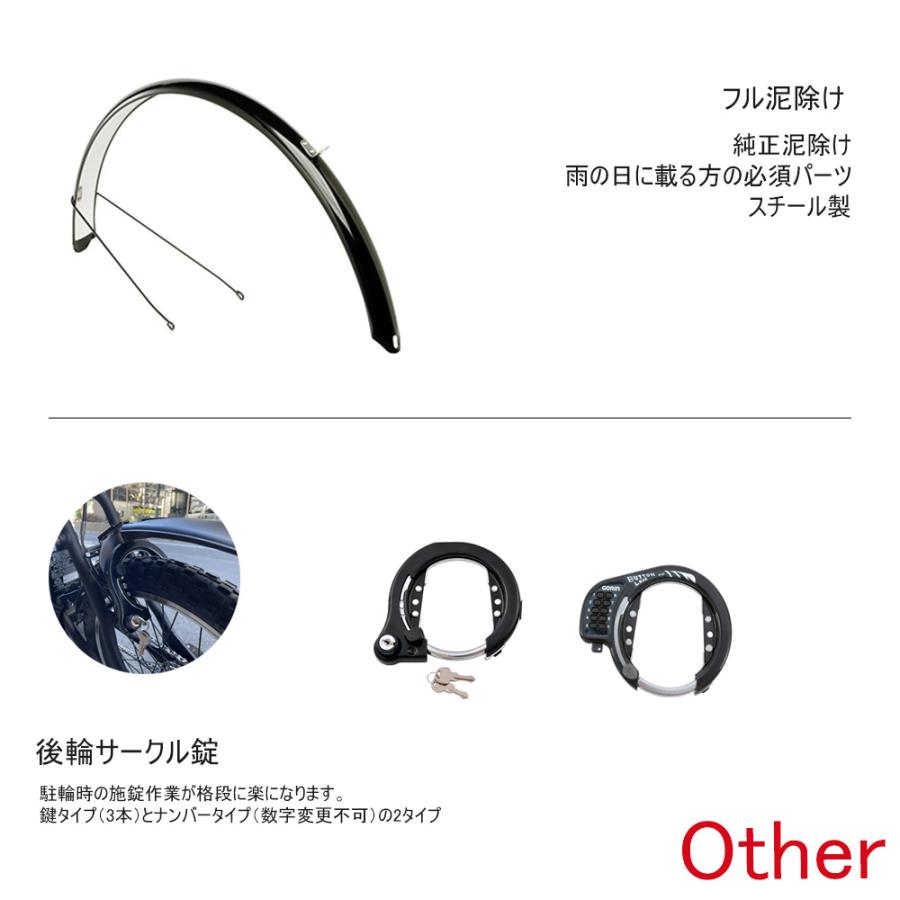 Hurryer スプレッドライザーバー搭載フルカスタム HURRYER(ハリヤ) BE