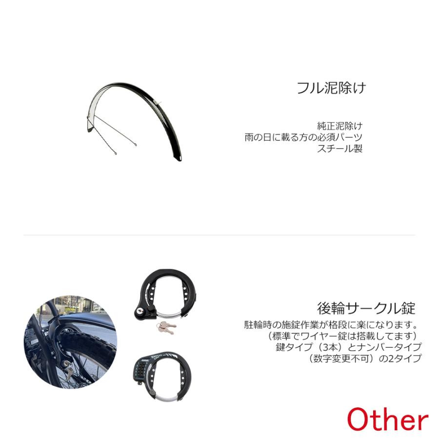 Hurryer スプレッドライザーバー搭載フルカスタム HURRYER(ハリヤ) BE