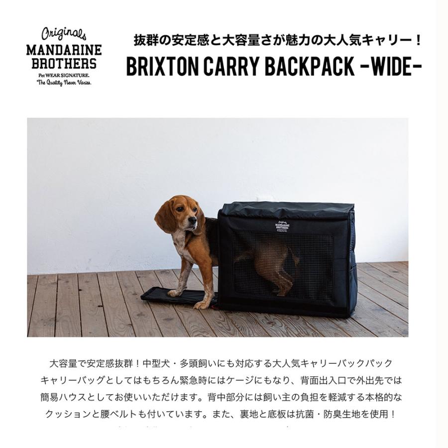 SW ペットポーターフロント・ペット乗せフルカスタム(マンダリン