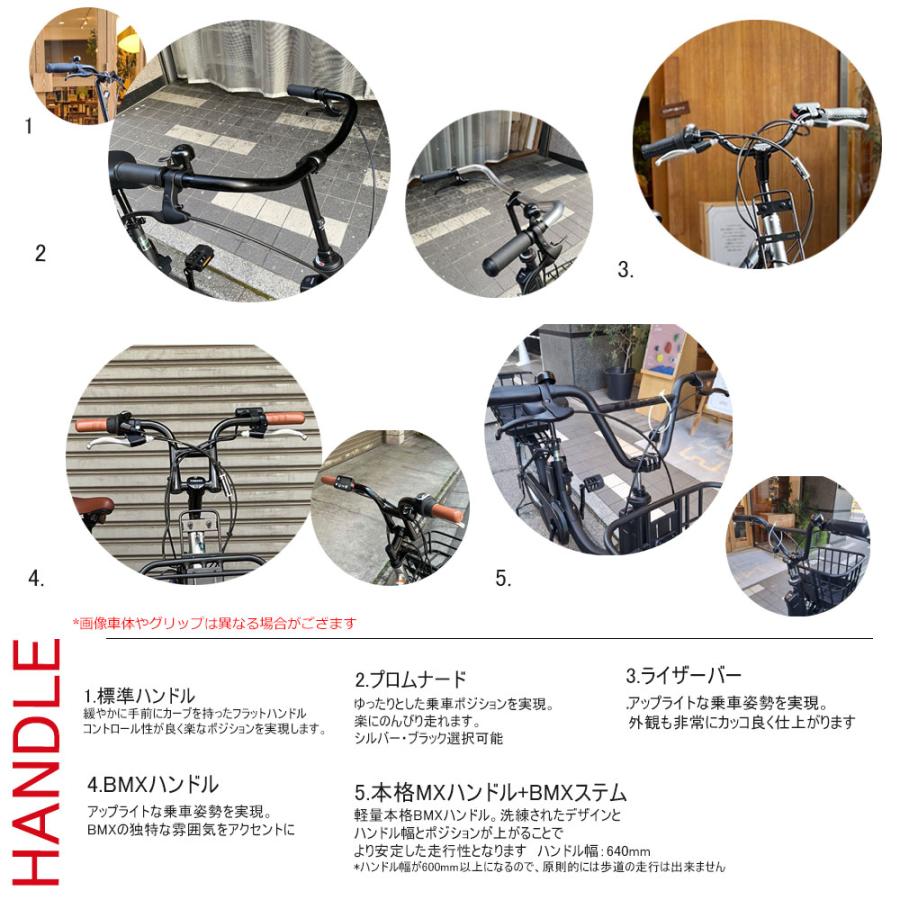 ペット乗せられる　パナソニックBE-FSW011Bカスタム用カゴ×ハンドルのみ SW ペットポーターリア・ペット乗せフルカスタム SWエスダブリュー BE