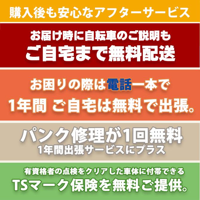 RAKUTTO 電動アシスト安心パック(1都3県限定販売・送料無料