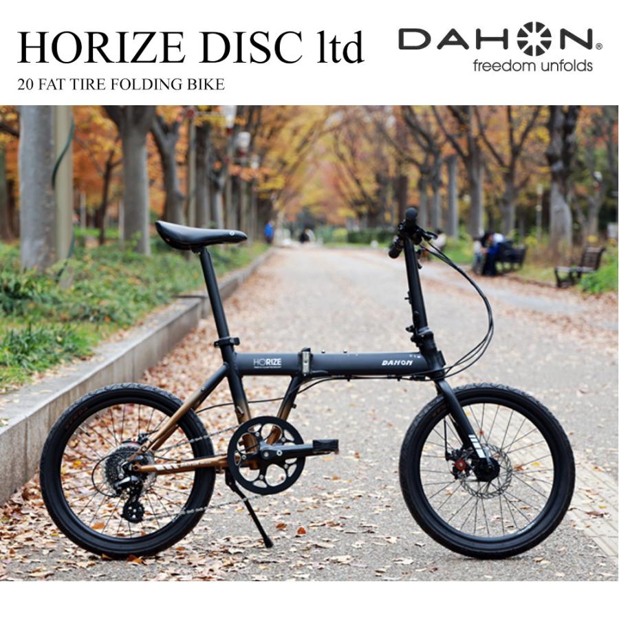 レイヤーブラウン限定モデルHORIZE DISC LTD（ホライズディスク 