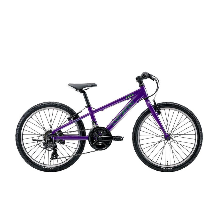 J22 LOUIS GARNEAU(ルイガノ) 子供用自転車 店頭受け取り限定 : j22 