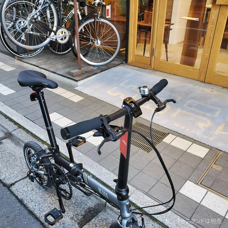 DAHON（ダホン） 限定特価 タイヤを太くして安心の乗り味 K3 Big Apple
