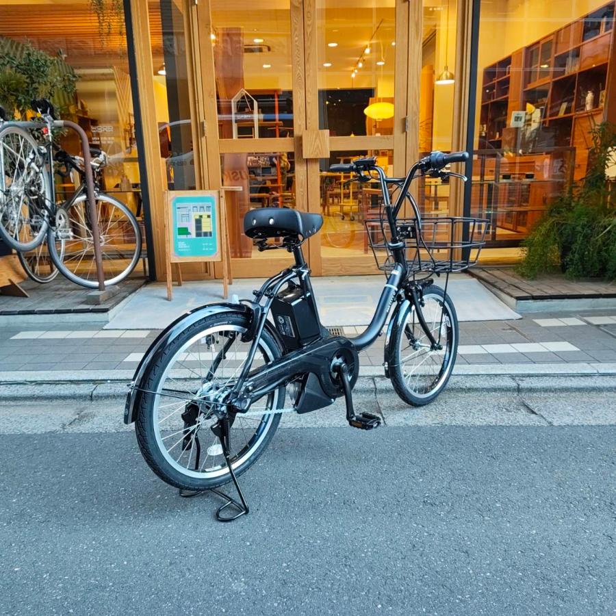 PAS CITY 大容量のビッグバスケット搭載 PAS C(パスシティC)（PA20CC