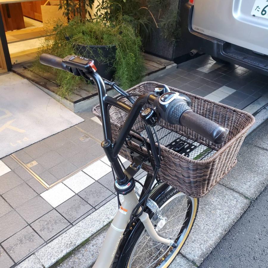 PAS CITY 籐風ラタンバスケット搭載 PAS C(パスシティC)（PA20CC） 20