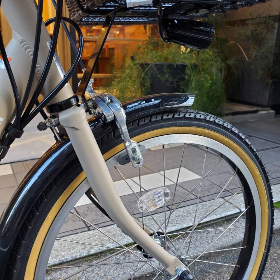 PAS CITY 籐風ラタンバスケット搭載 PAS C(パスシティC)（PA20CC） 20