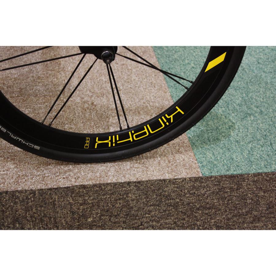 tern SURGE PRO 2tone(サージプロツートン)TERN（ターン） 小径車