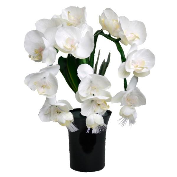 グランドルミナス 胡蝶蘭（LED使用）STD 1つモダン小型灯 盆提灯 ちょうちん #2