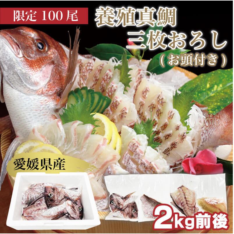 鯛 真鯛 切り身 愛媛県産養殖真鯛 (お頭付き)3枚おろし 約2kg 送料