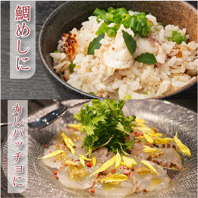 鯛 真鯛 切り身 愛媛県産養殖真鯛 (お頭付き)３枚おろし 約2kg 送料無料(北海道・沖縄を除く) 愛媛県 まだい 送料無料 取り寄せ 贈答 贈答品 ギフト｜ehime-giftcenter｜05