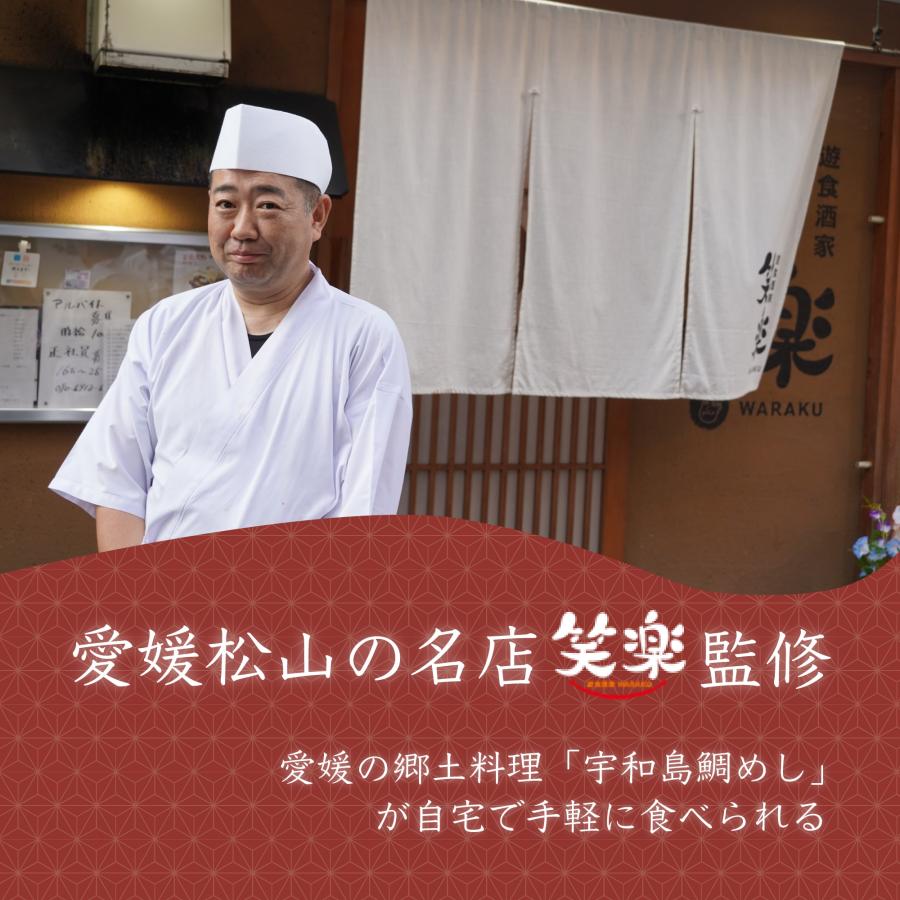 鯛めし 愛媛県産 宇和海鯛めし２人前×５パック 10人前 送料無料 鯛 たい 取り寄せ 贈答 贈答品 ギフト お祝い 鯛 料理 卒業祝い入学祝い_3