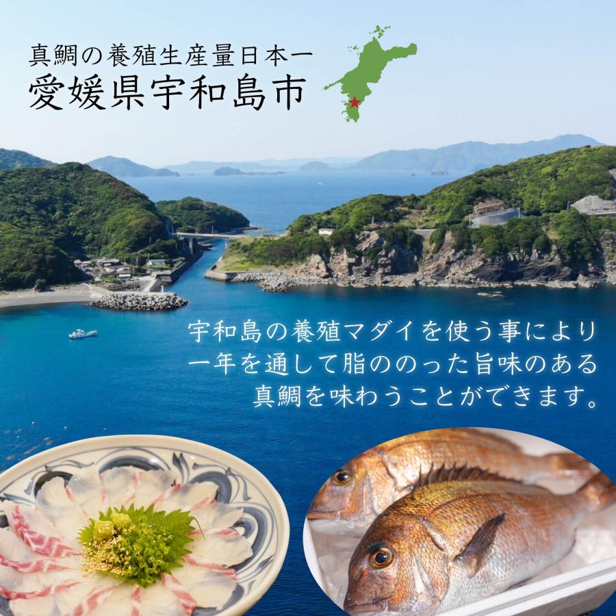 鯛めし 愛媛県産 宇和海鯛めし２人前×５パック 10人前 送料無料 鯛 たい 取り寄せ 贈答 贈答品 ギフト お祝い 鯛 料理 卒業祝い入学祝い_4
