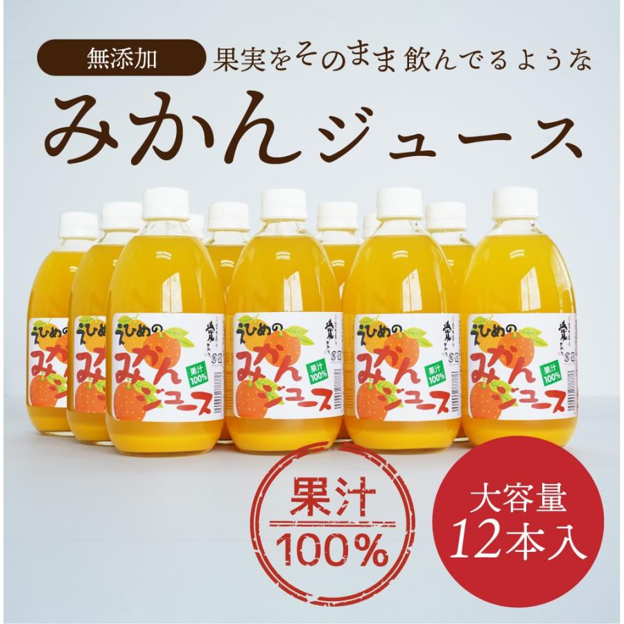 愛媛県産 無添加100%ストレートみかんジュース 12本入り 愛媛県産 無添加100%ストレートみかんジュース 12本入り ジュース