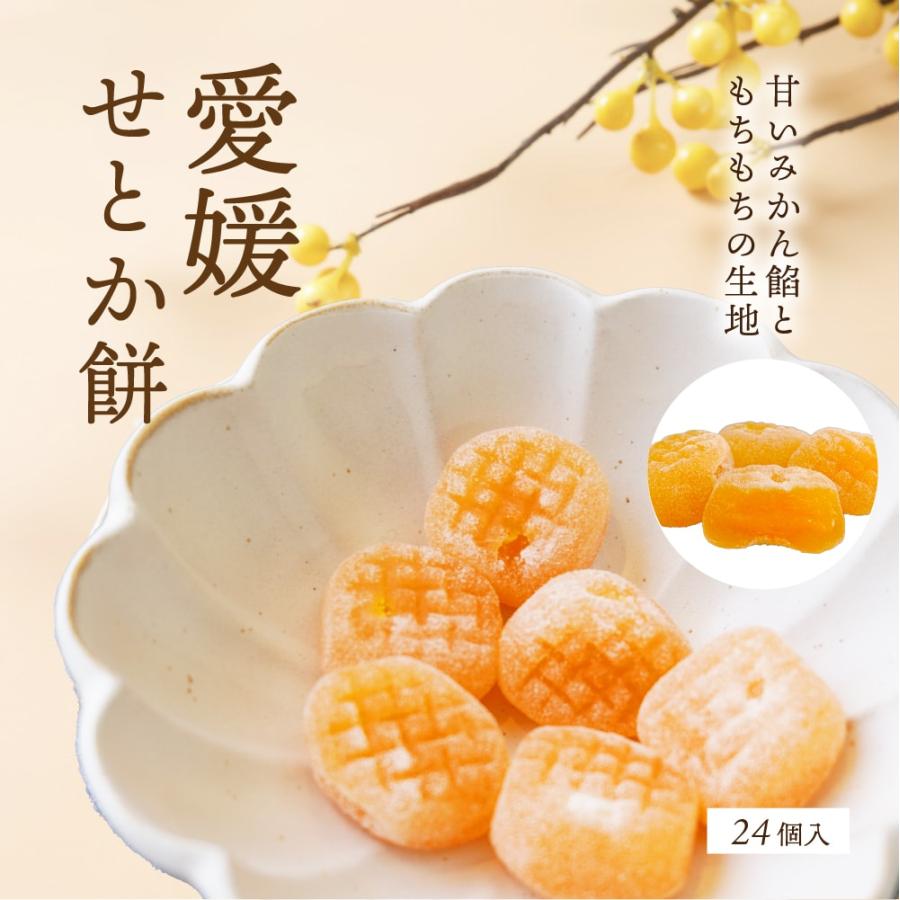 餅 もち 愛媛せとかのきもち 送料別途 愛媛県産 取り寄せ ギフト