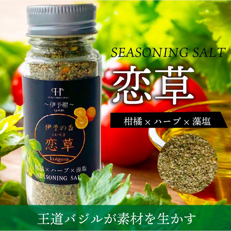 ハーブソルト スパイス ハーブソルトギフトセット 送料別途 藻塩