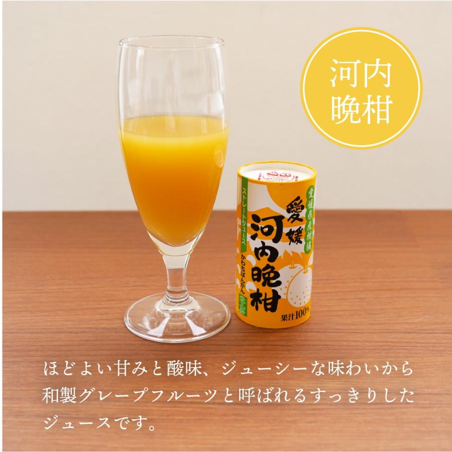 愛媛県産柑橘ジュース 飲み比べギフトセット 6本 送料別途 愛媛 ギフト 
