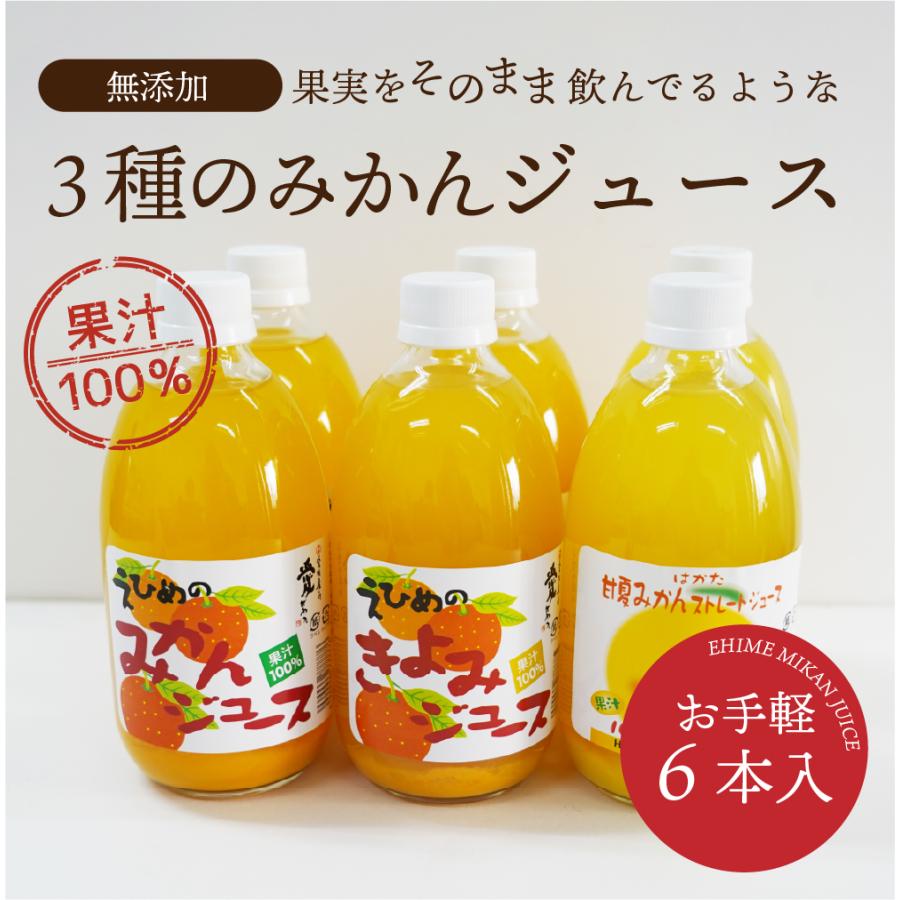 飲むみかん　6本セット　ジュース　まとめ売り 3種のみかんジュース6本(瓶) ジュース えひめのみかん きよみ 甘