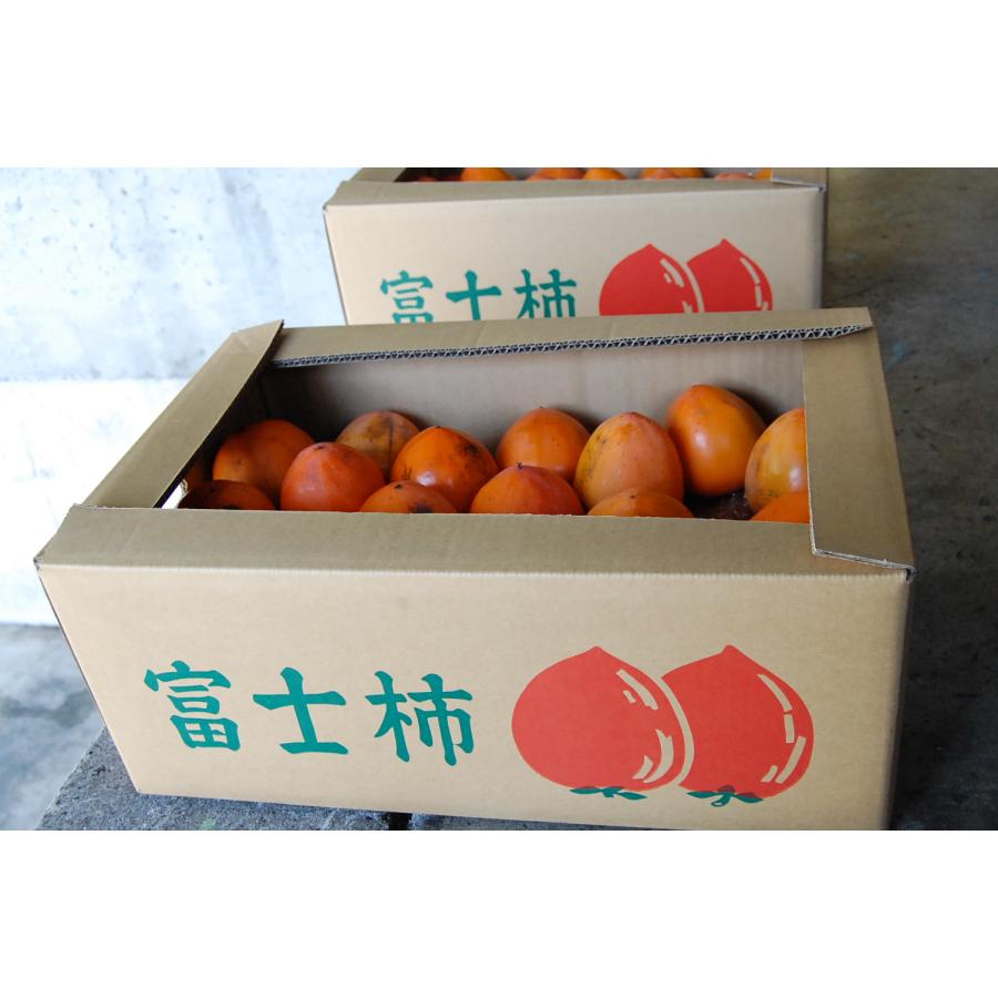 富士柿 訳あり 10kg : 愛媛みかんのまるに - 通販 - Yahoo!ショッピング