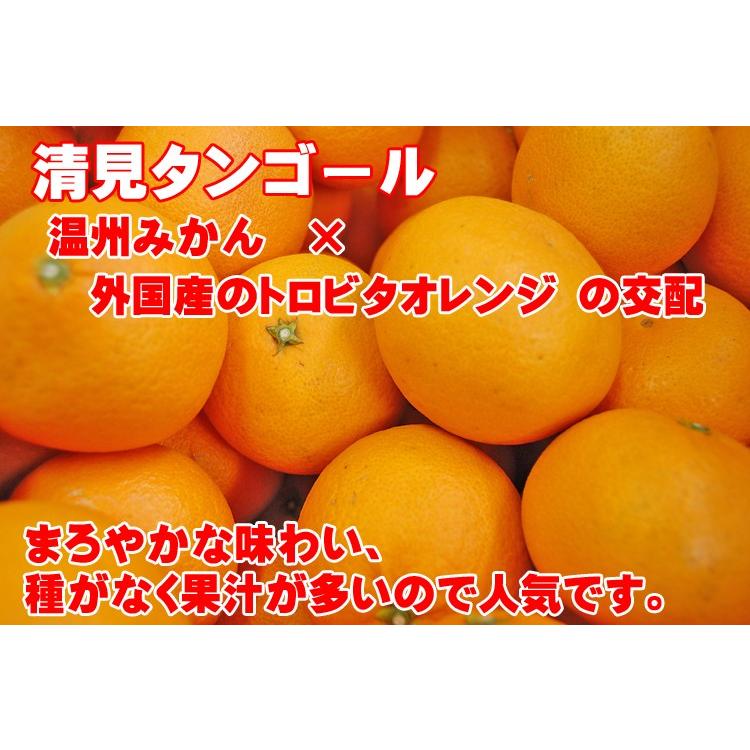 愛媛産 清見100％ストレートジュース（720ml×6本）送料無料