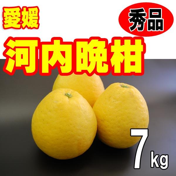 河内晩柑 秀品お中元ギフト贈答用 ７ｋｇ 愛媛産 美生柑 宇和ゴールド ジューシーオレンジ 和製グレープフルーツ 晩柑 送料無料（Yahoo!・愛媛みかんのまるに）