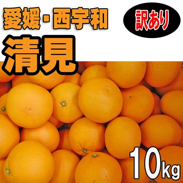 愛媛 西宇和産 清見 訳あり 家庭用 10kg 送料無料