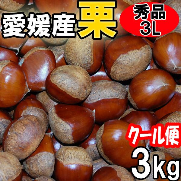クール便 愛媛の栗 生栗 秀品 3Lサイズ 3kg 送料無料 : 愛媛