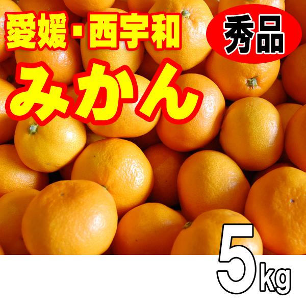 愛媛 西宇和 八幡浜 みかん 秀品 ギフト 贈答用 お歳暮 5kg Sサイズ Mサイズ 送料無料