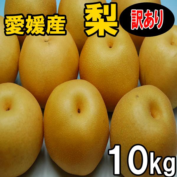 幸水梨 豊水梨 秋月梨 新高梨 送料無料 １０ｋｇ 付与 産地直送 訳あり家庭用