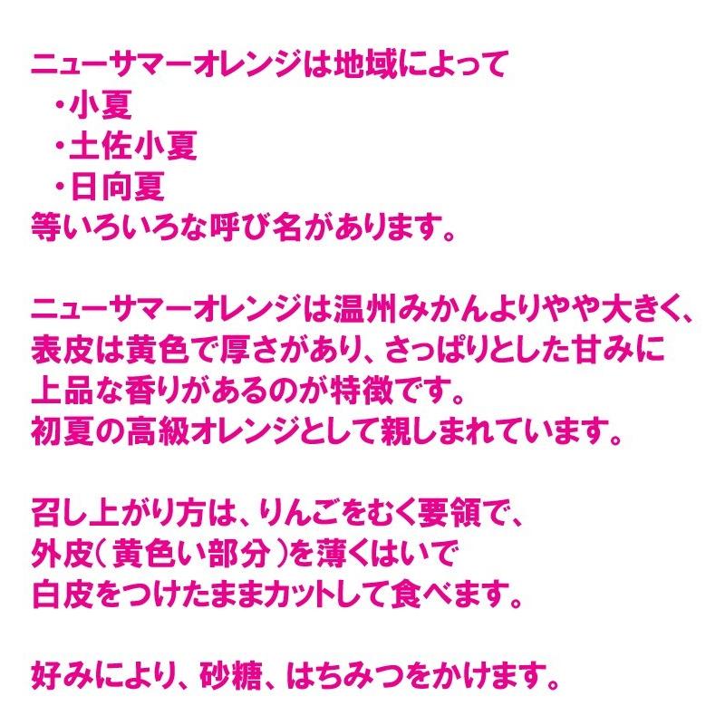 愛媛西宇和産　ニューサマーオレンジ（小夏　日向夏）　訳あり家庭用　５ｋｇ 送料無料　産地直送｜ehime-maruni｜05