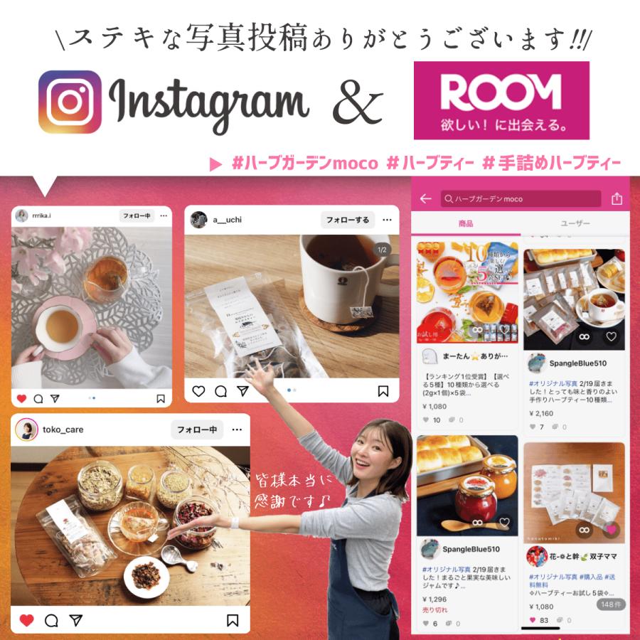 選べる5種】10種類から選べる(2g×1個)×5袋 ハーブティー【お試し