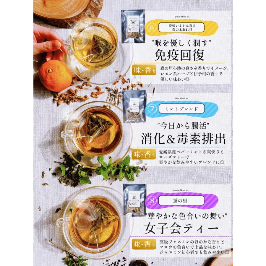 選べる5種】10種類から選べる(2g×1個)×5袋 ハーブティー【お試し