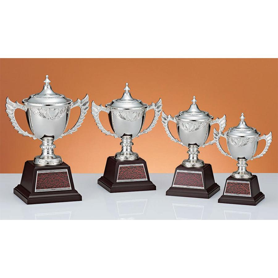 スタンダード カップ シルバー 1　C1629 Bサイズ