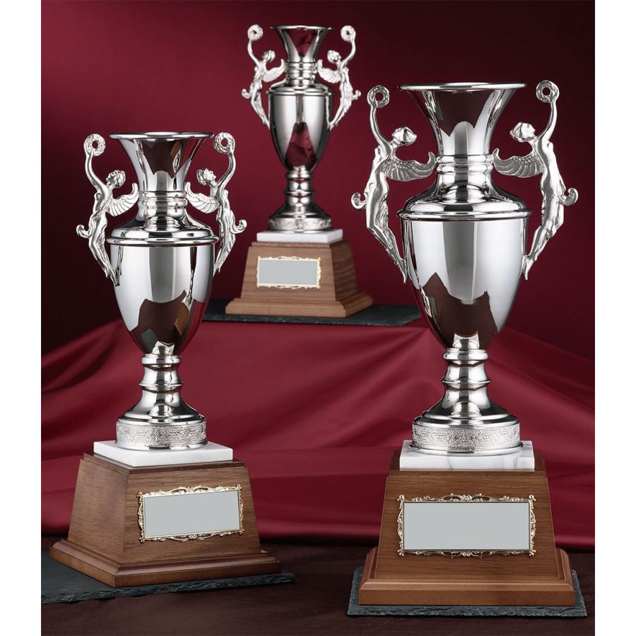 記念品専門店の愛媛記章真鍮製 カップ 2 Rs 07 Aサイズ 年中無休