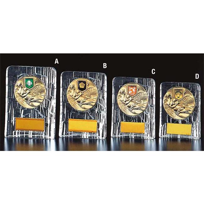 クリスタル 楯 1　V146 Aサイズ