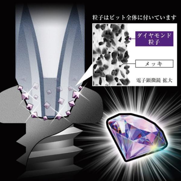 ANEX ダイヤモンド龍靭ビット1本組 (+)2X110 ADRS-2110 40V