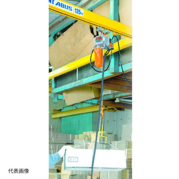 象印（ZOJIRUSHI） ベータ型小型電気チェーンブロック 200kg BS