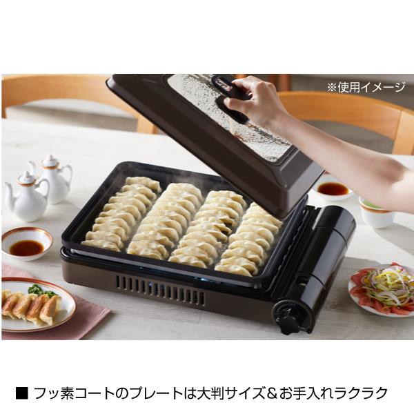 Iwatani（イワタニ） 岩谷（イワタニ） カセットガスホットプレート