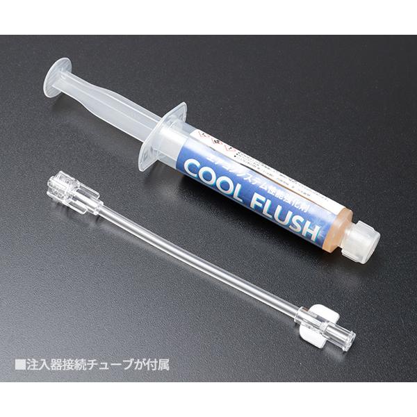 Dengen（デンゲン） クールフラッシュセット 冷房能力復活剤 自動車用