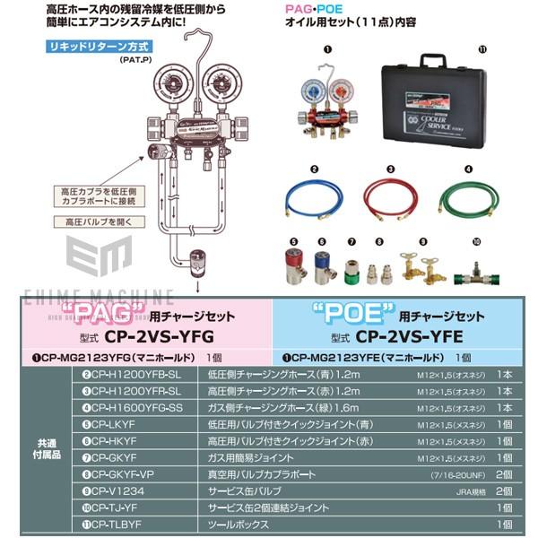 DENGEN CP-2VS-YFE R-1234YF専用 2バルブガスチャージセット POE用