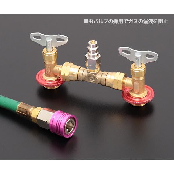 DENGEN CP-2VS-YFG R-1234YF専用 2バルブガスチャージセット PAG用 